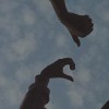 sggtrs.bx