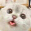 ᴅシ