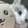熙熙