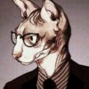 aristocat