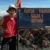 sendi Setiawan