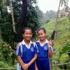 winda