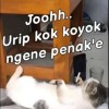 wongpinter