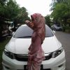 Safia Arisya
