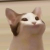 CaptainGiew