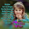 Nassuria Suria