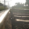 Sadiidan