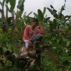 rismandbs