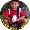 Alam Nur