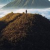 Anang Budiono