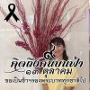 ศิริรัตน์ แก้วทอง