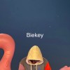 biekey