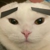 don't follow me